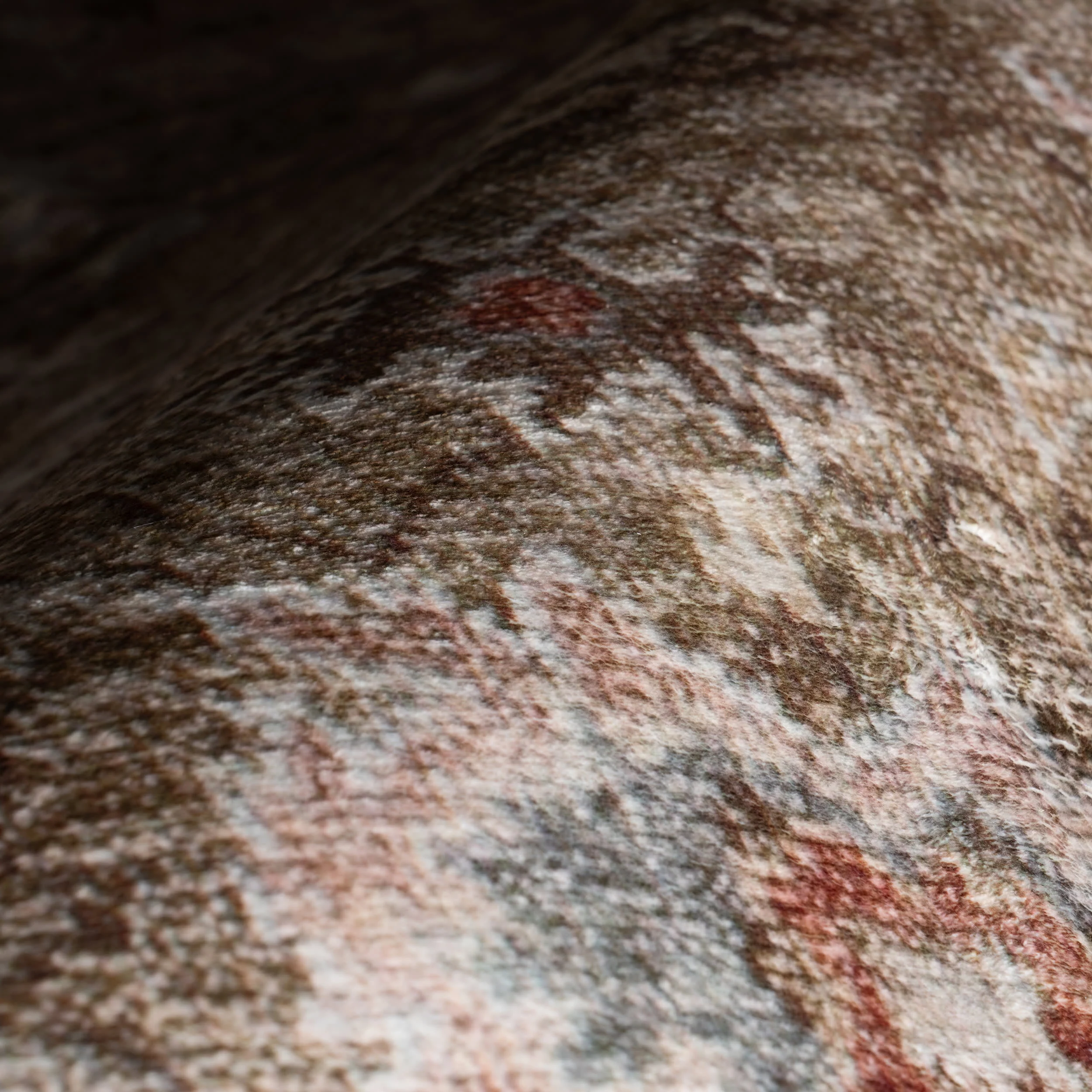 Anoukis Washable Rug | Brown - Image 3