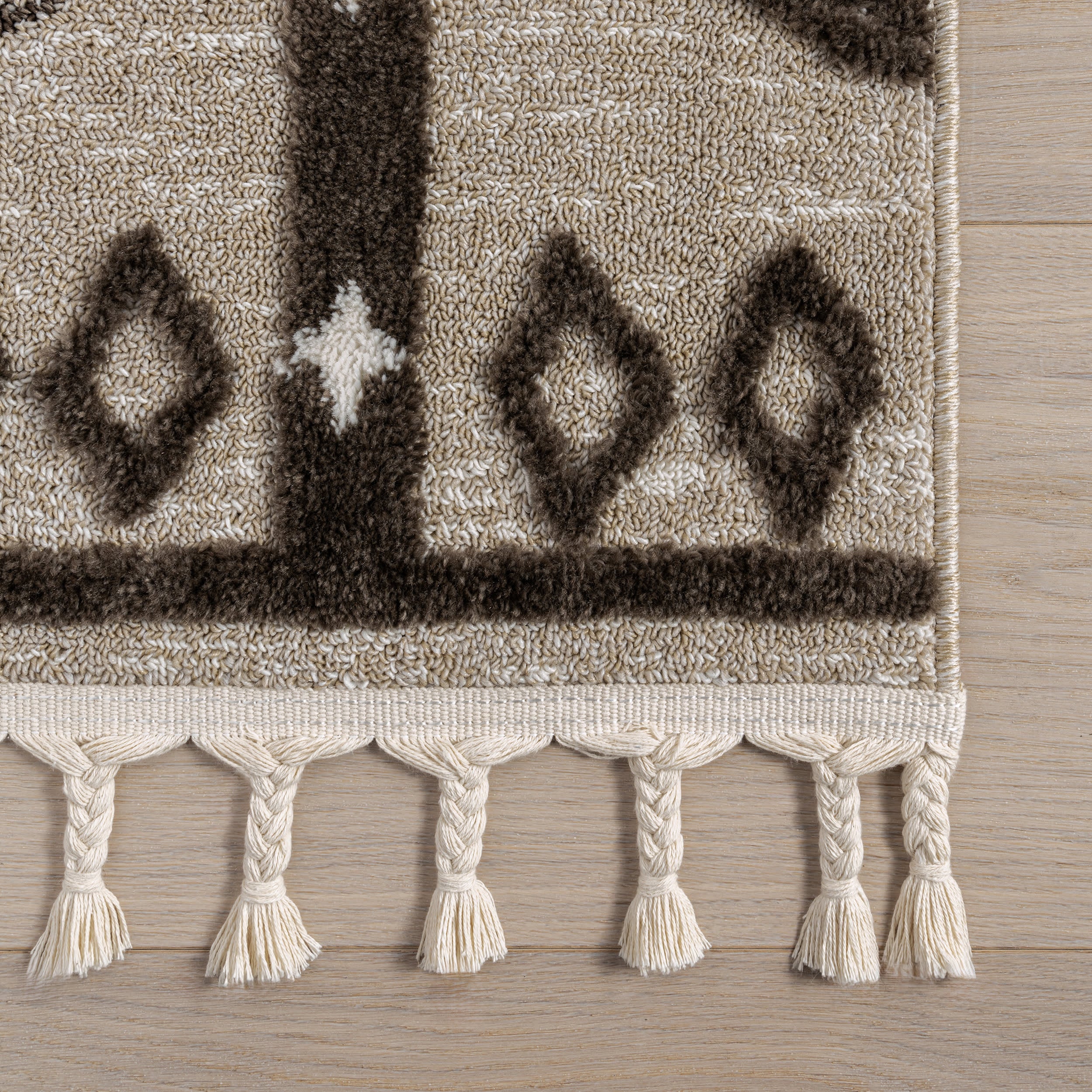 Autumn Geometric Tasseled Rug | Beige - Image 4