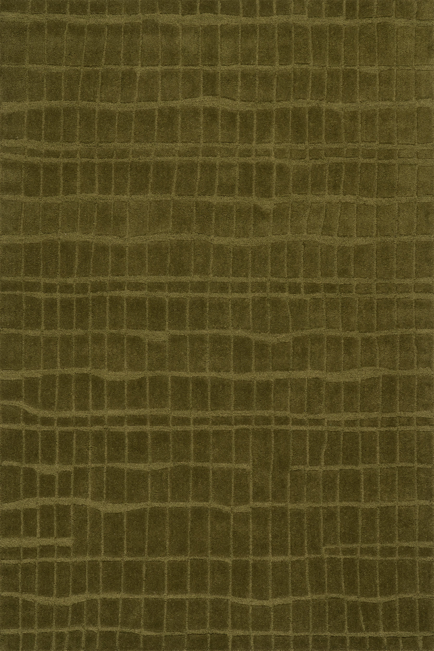 Avela Textured Abstract Rug | Green