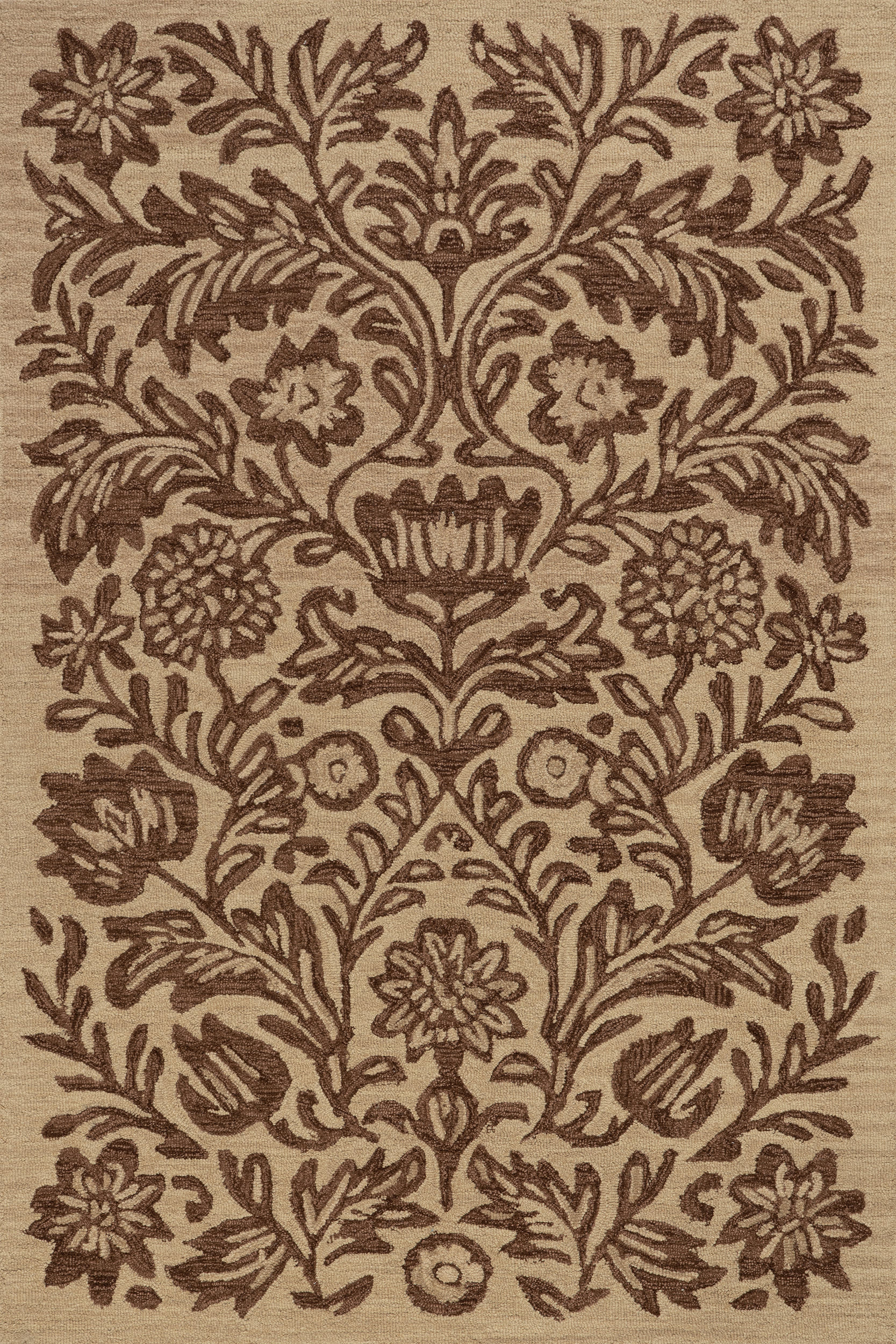 Ayloh Transitional Floral and Paisley Rug | Brown