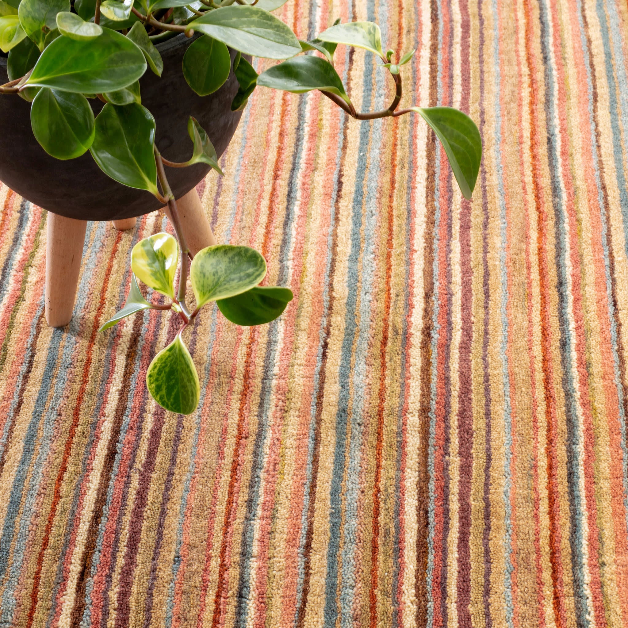 Brindle Stripe Hand Loom Knotted Wool Rug | Spice - Image 2