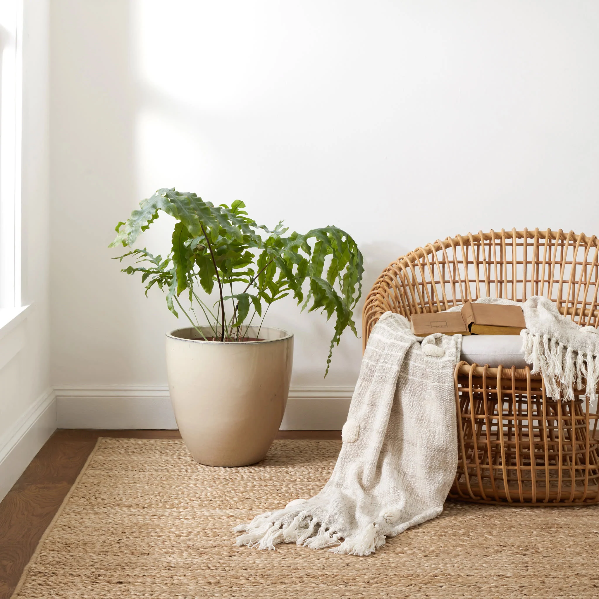 Collins Braided Woven Jute Custom Rug | Natural - Image 2