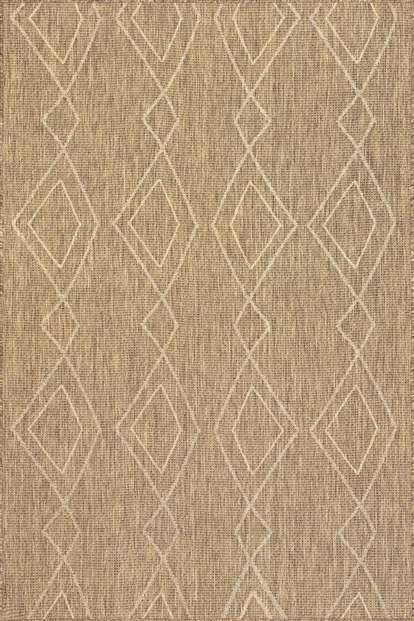 Fabianna Indoor/Outdoor Modern Rug | Brown