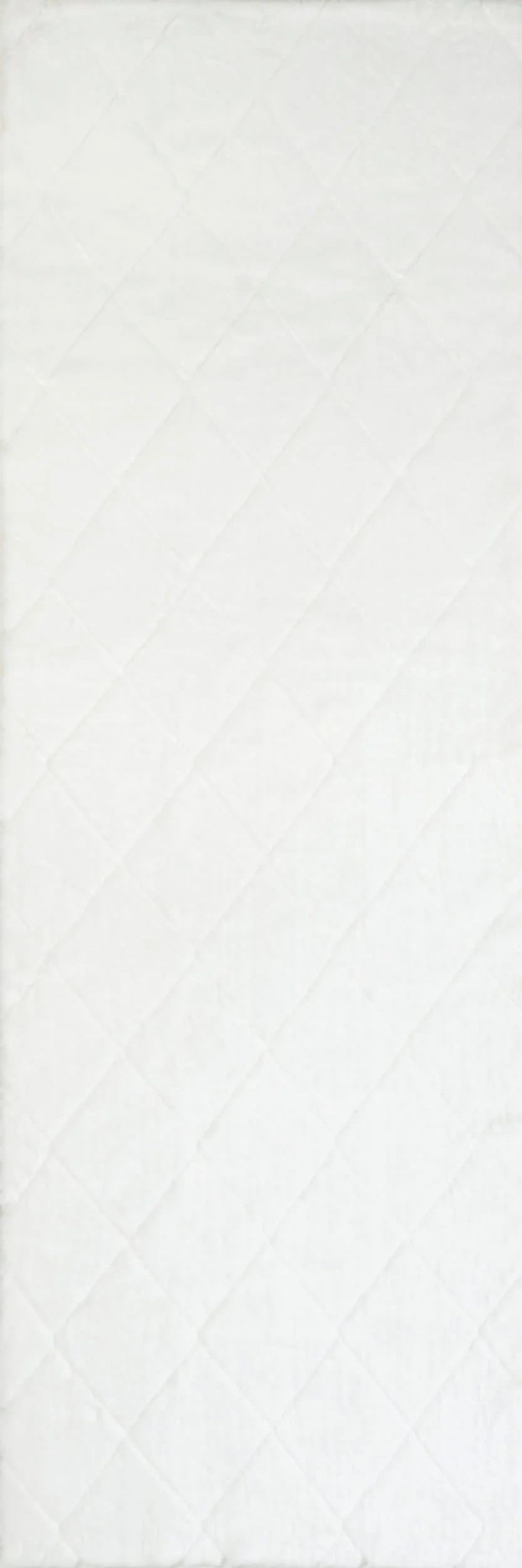 Jaylene Trellis Plush Cloud Washable Rug | White