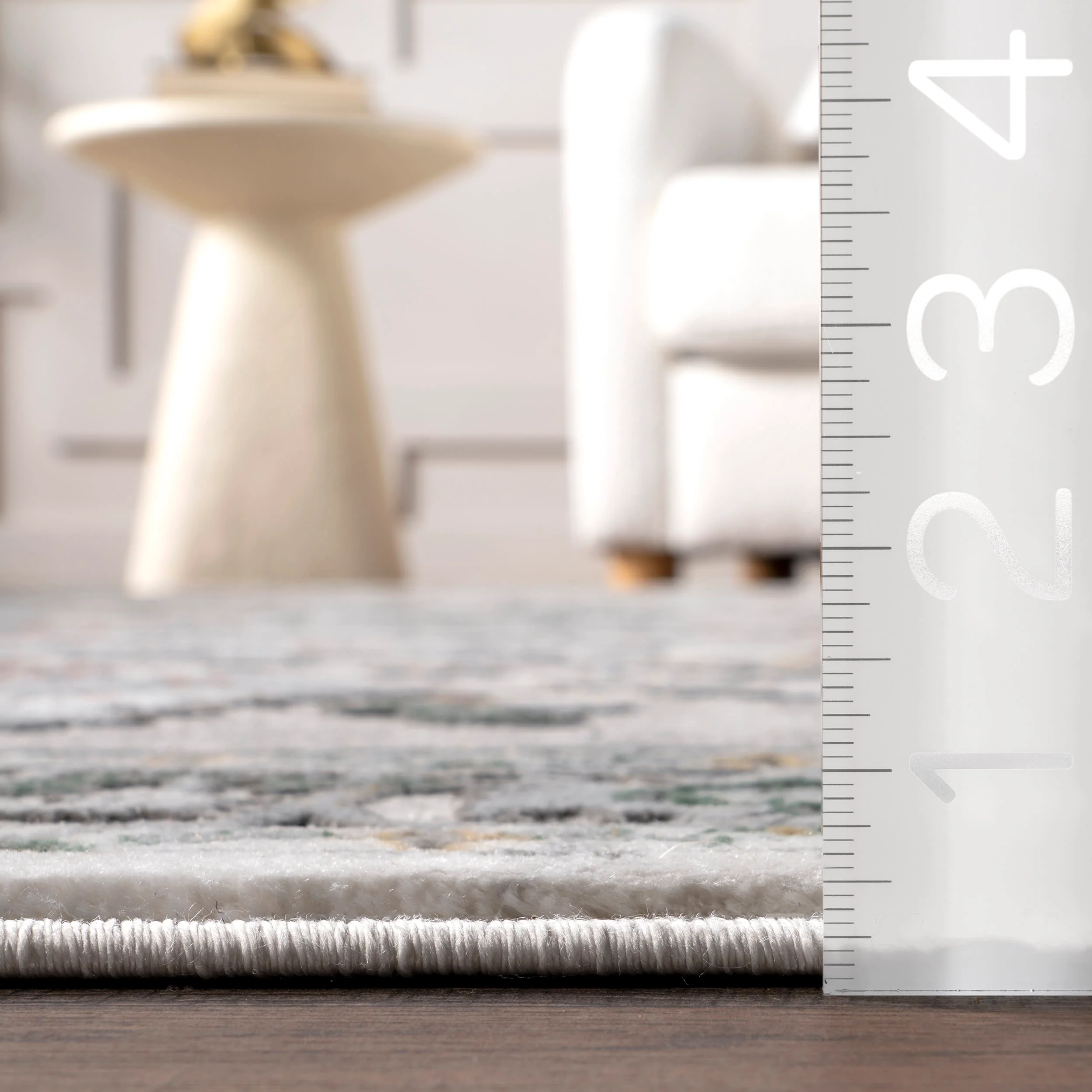Joanna Bordered Medallion Rug | Beige - Image 5