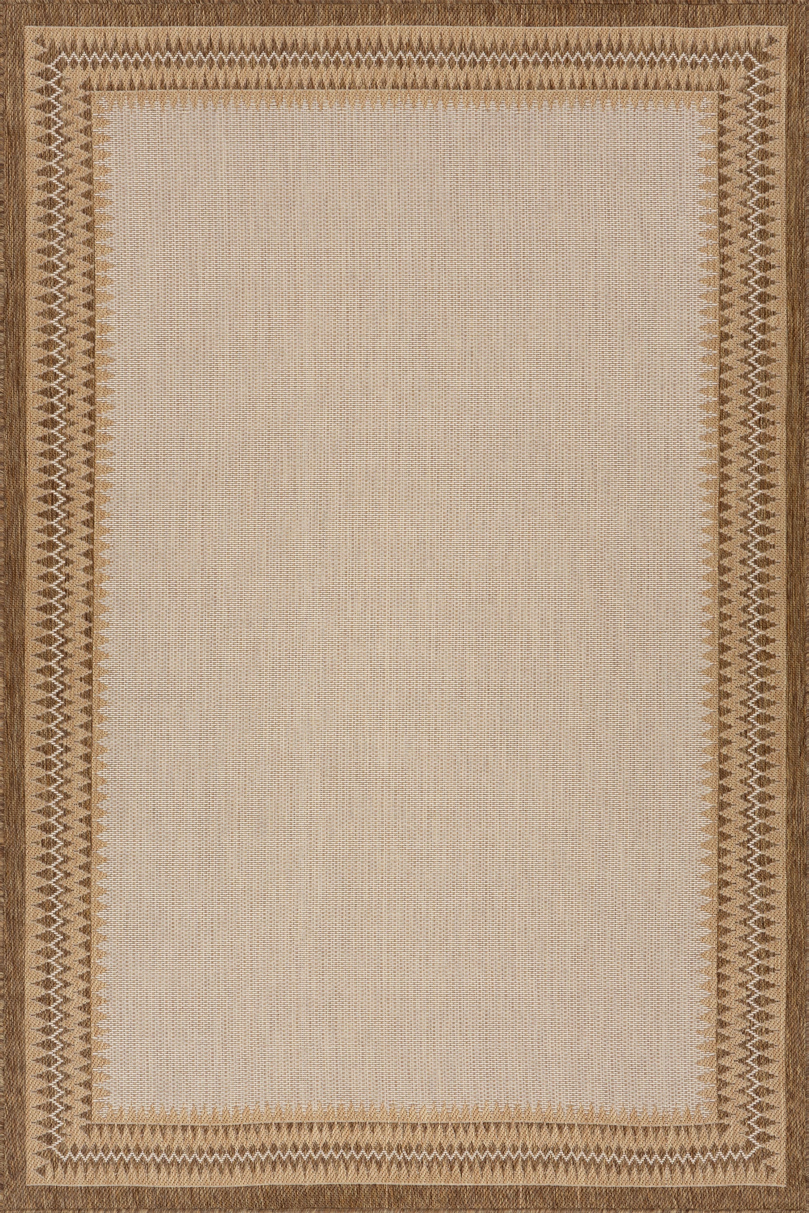 Loenya Modern Bordered Indoor/Outdoor Rug | Brown
