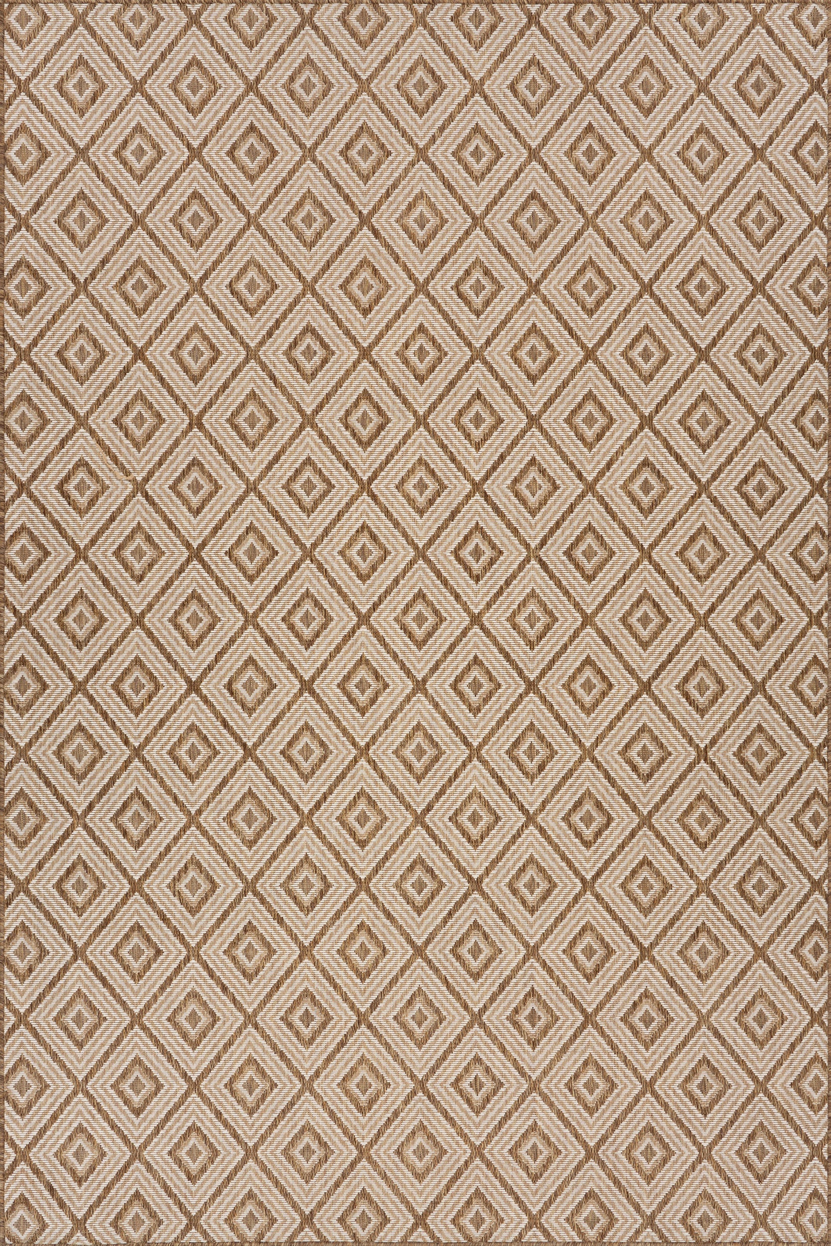 Marouise Modern Diamond Indoor/Outdoor Rug | Brown