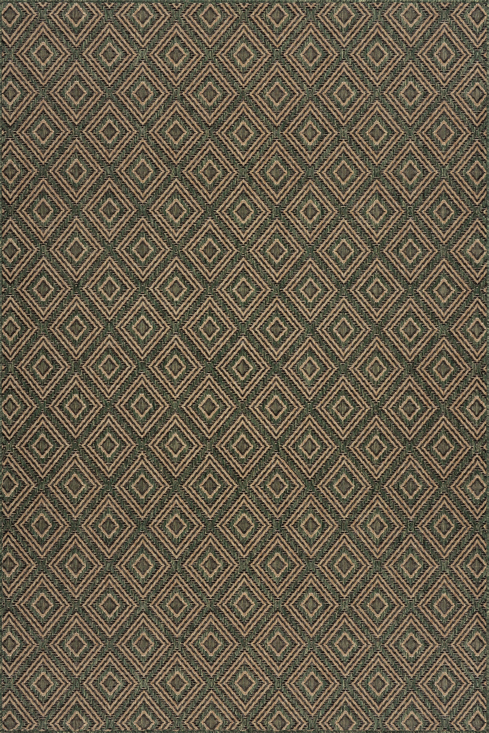 Marouise Modern Diamond Indoor/Outdoor Rug | Green