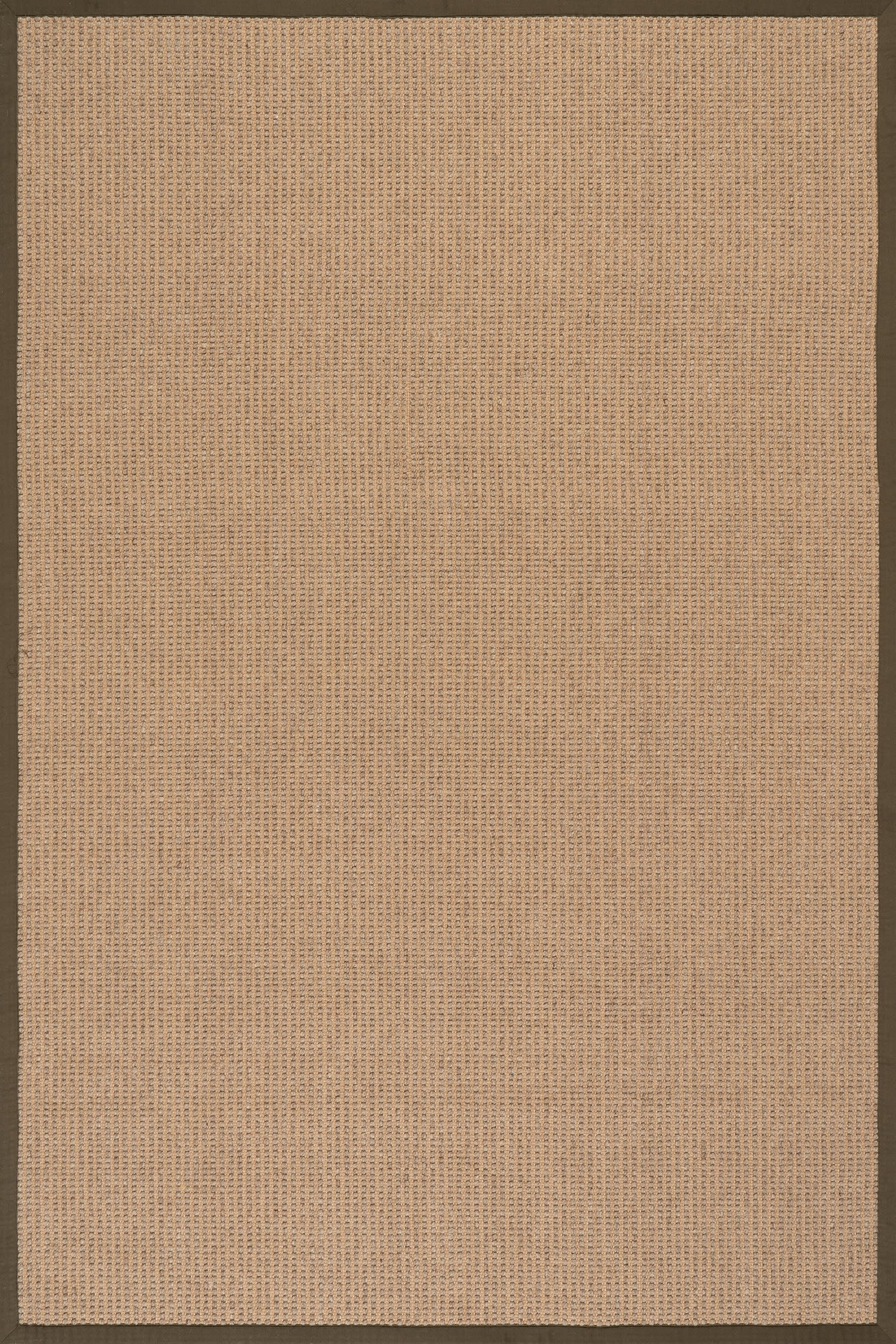 Patricia Jute and Wool Rug | Tan