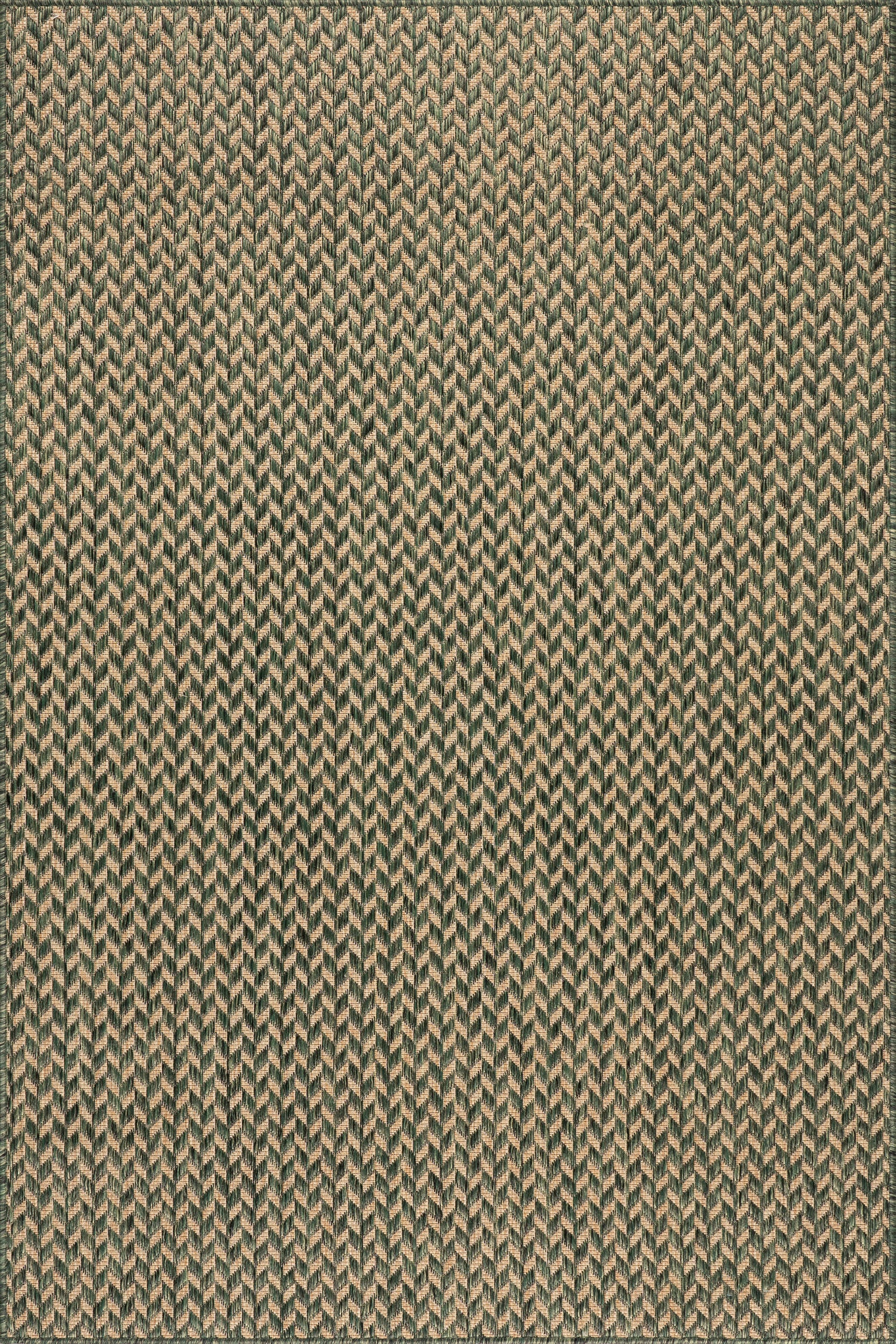 Taraji Herringbone Indoor/Outdoor Rug | Green