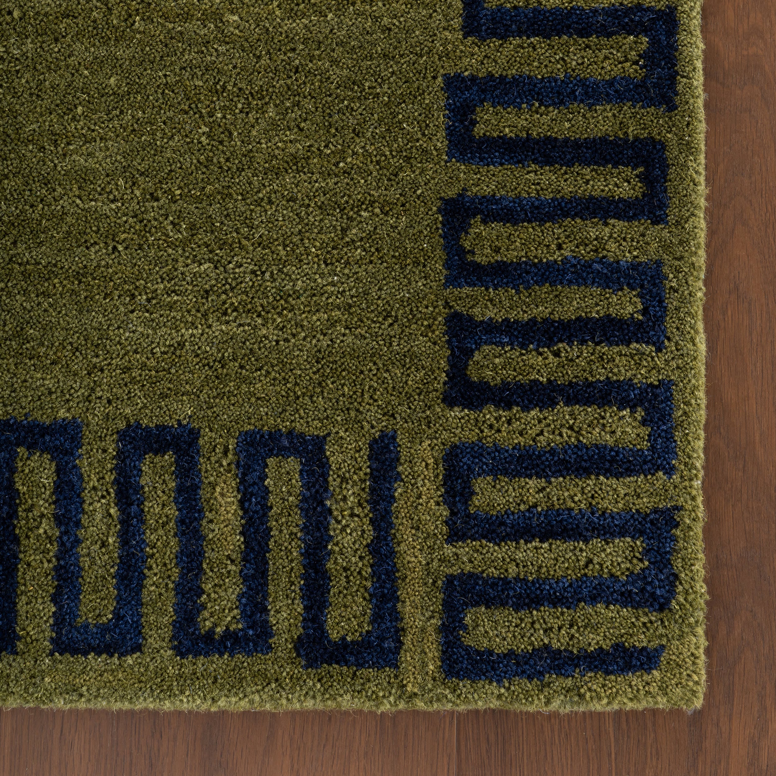 Taya Modern Bordered Rug | Green - Image 4