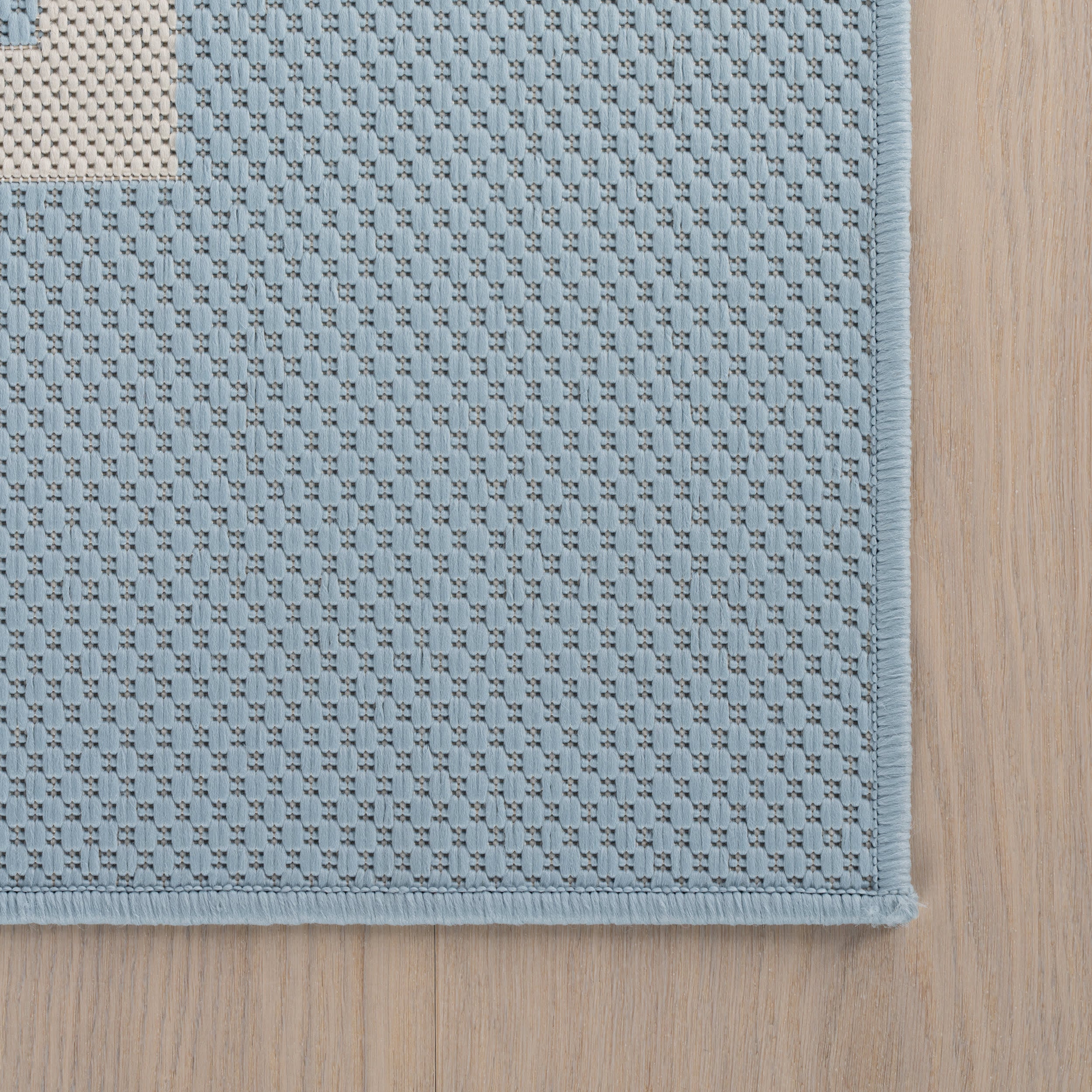 Thena Modern Bordered Indoor/Outdoor Rug | Blue - Image 4