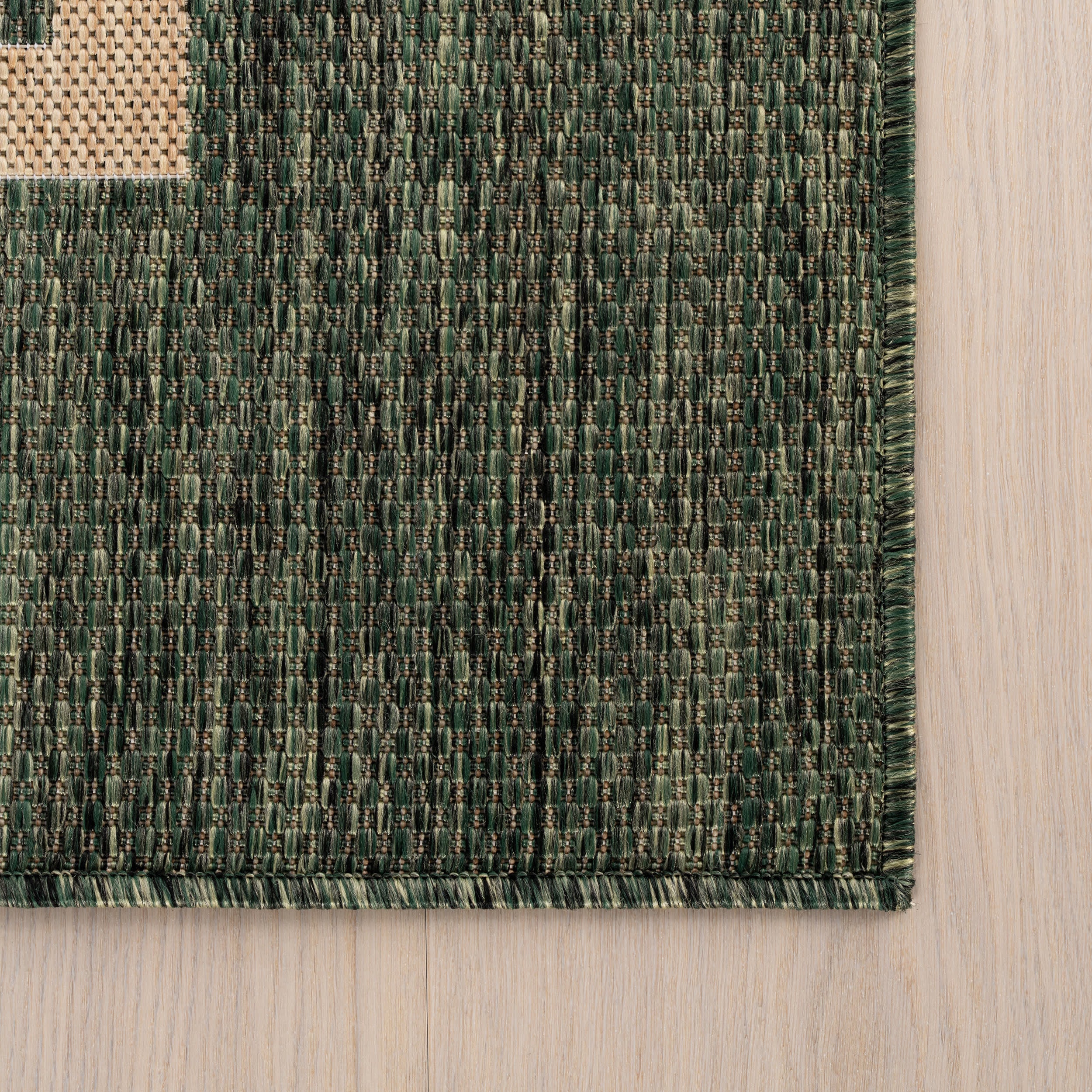Thena Modern Bordered Indoor/Outdoor Rug | Green - Image 4