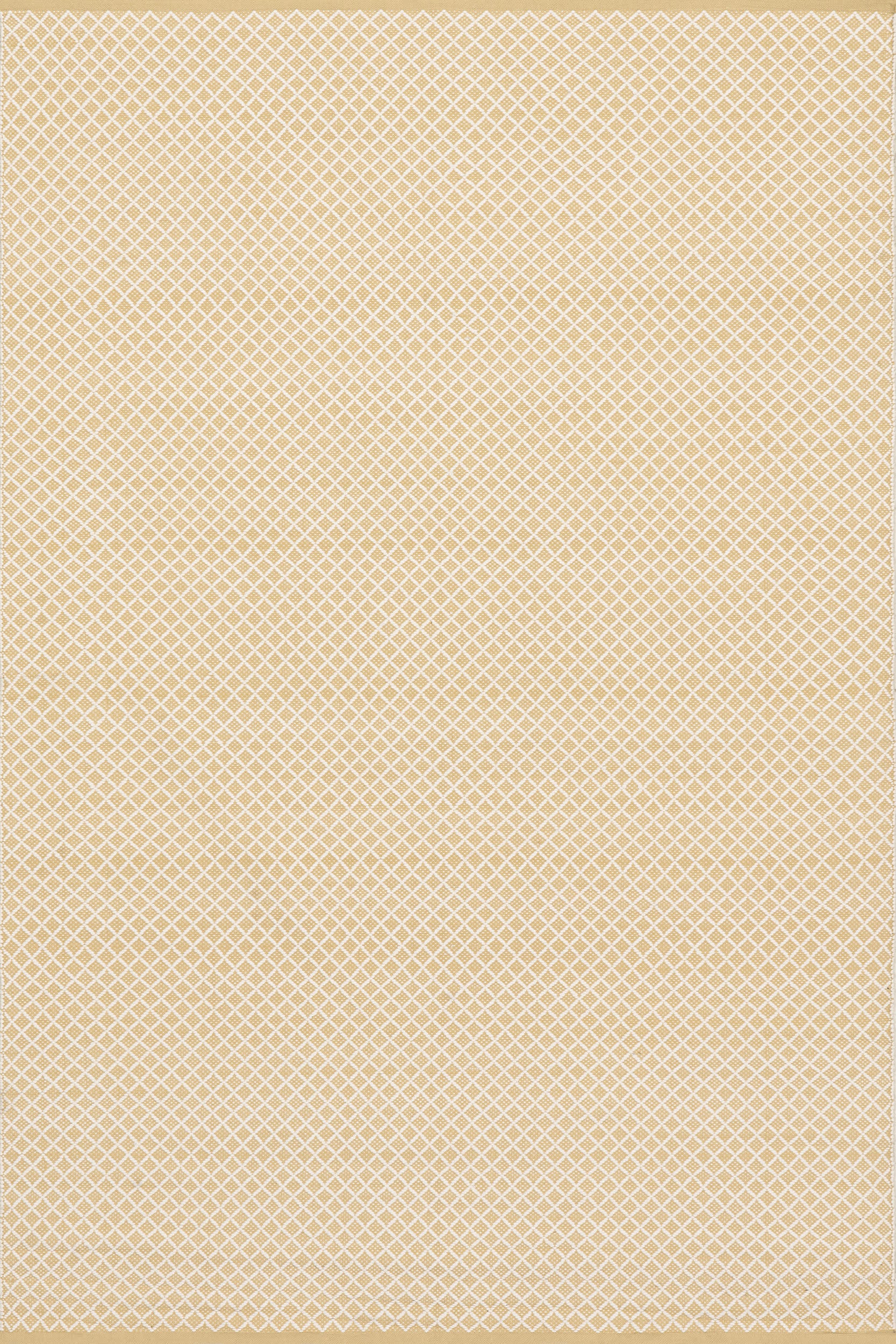 Trellis Handwoven Indoor/Outdoor Rug | Beige